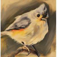 Tufted Titmouse